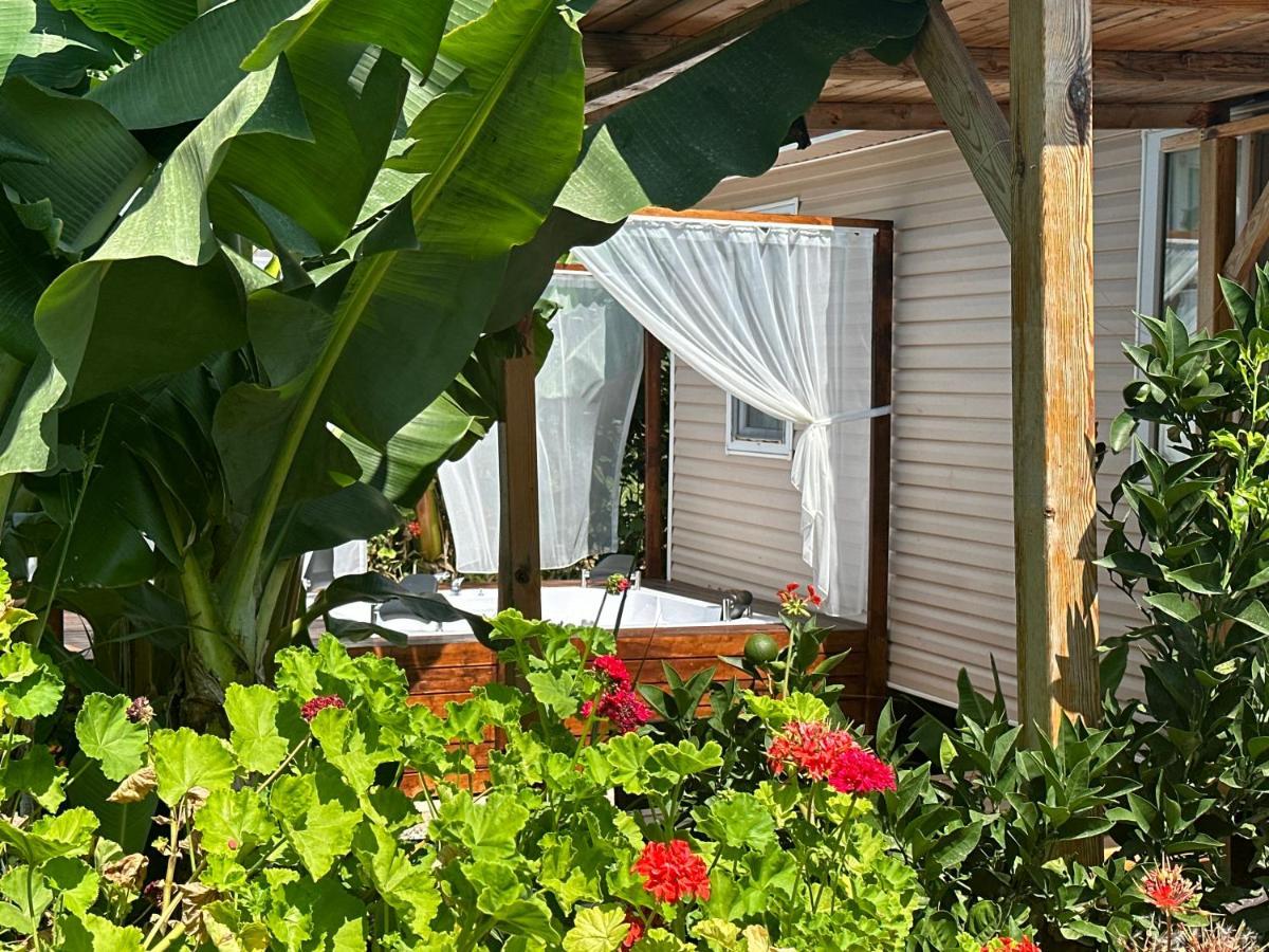 Kiris Garden Hotel Kemer Luaran gambar